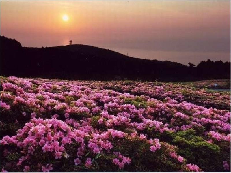 ゆがわら水の香里ホテル 湯河原町 エクステリア 写真