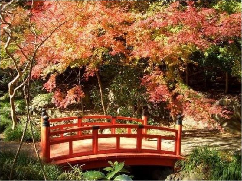 ゆがわら水の香里ホテル 湯河原町 エクステリア 写真