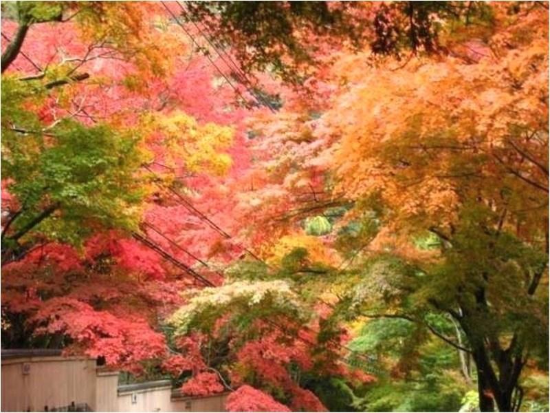 ゆがわら水の香里ホテル 湯河原町 エクステリア 写真