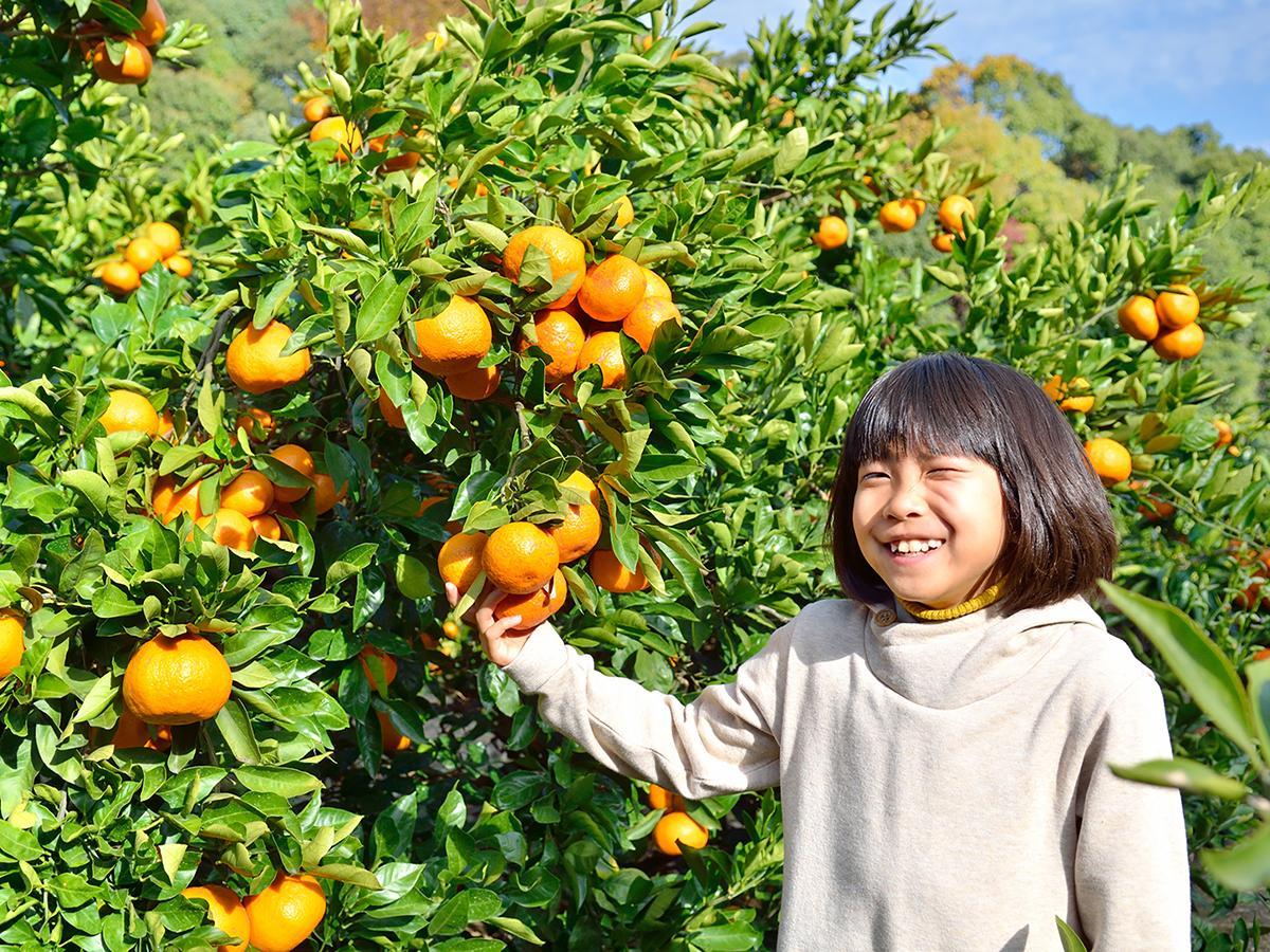ゆがわら水の香里ホテル 湯河原町 エクステリア 写真