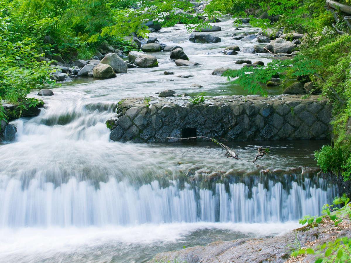 ゆがわら水の香里ホテル 湯河原町 エクステリア 写真